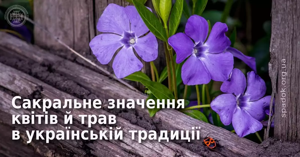 Сакральне значення квітів й трав в українській традиції
