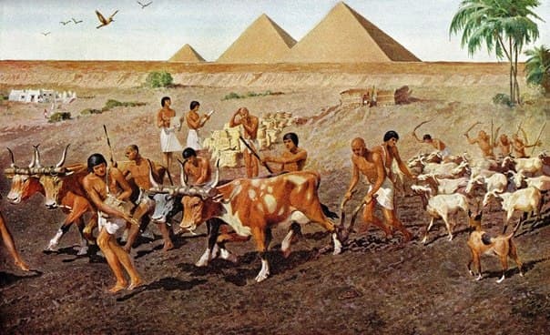 землеробство в єгипті