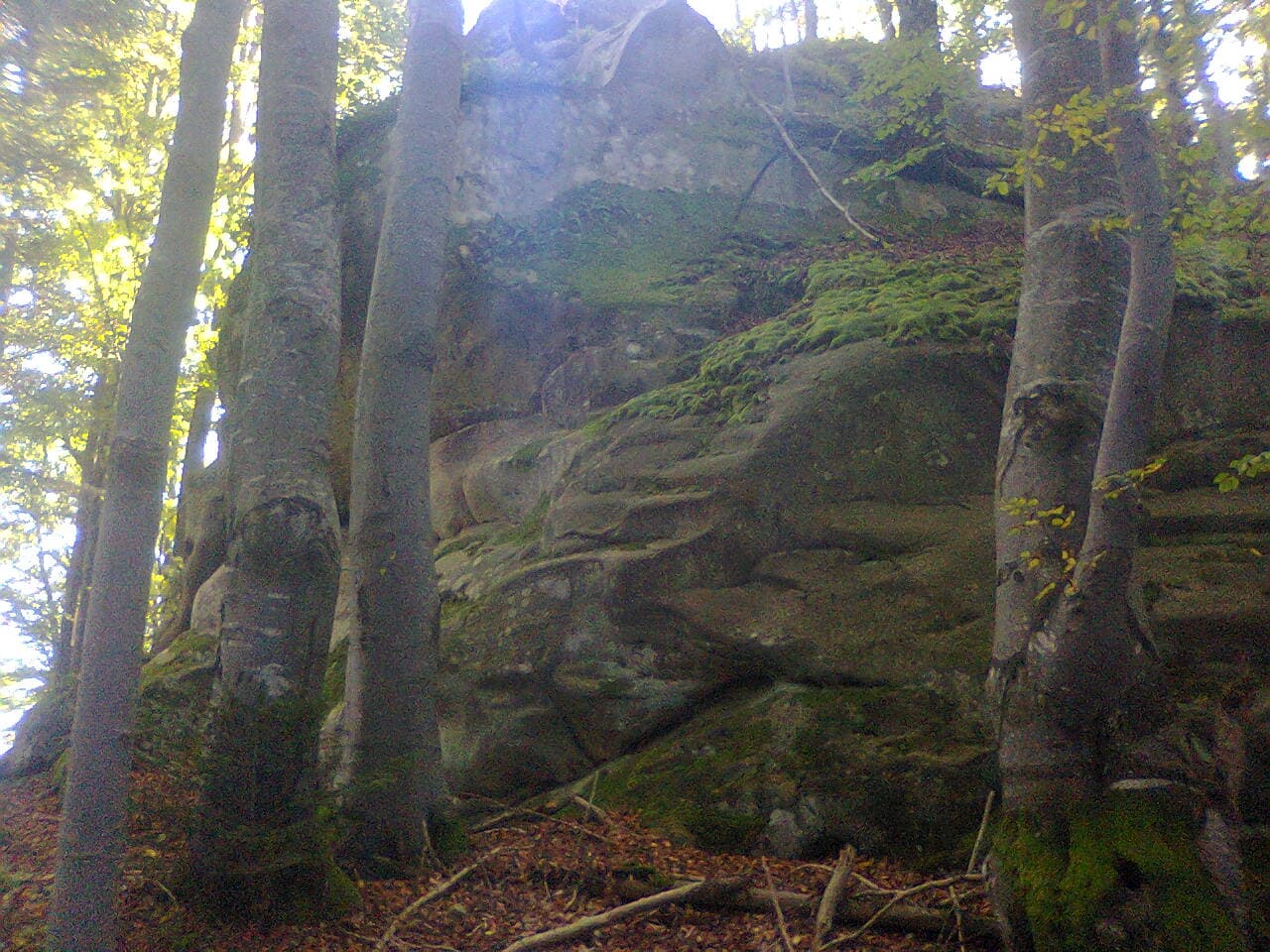 Скелі в Підгородцях