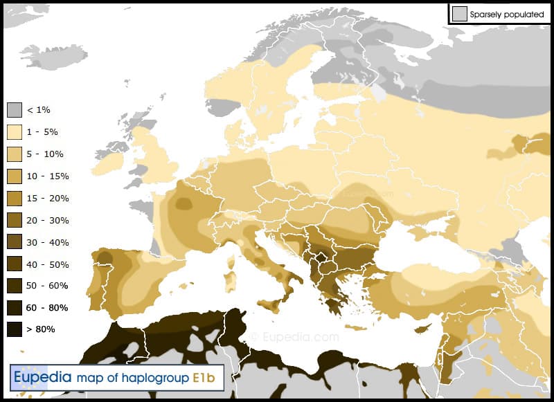 Haplogroup-E1b1b