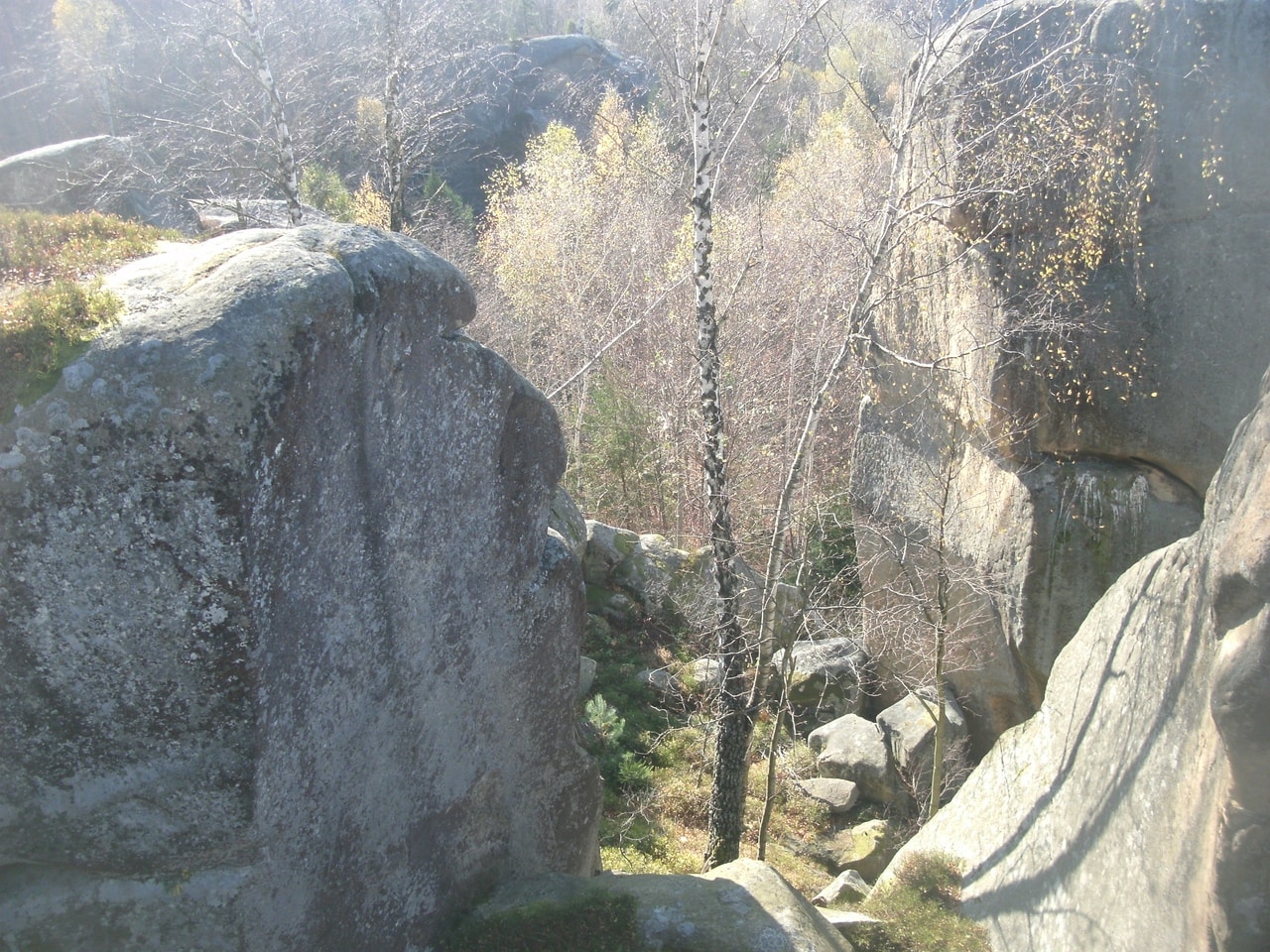 Скелі пісковики в Ямельниці