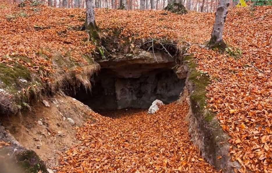 Прийма печера
