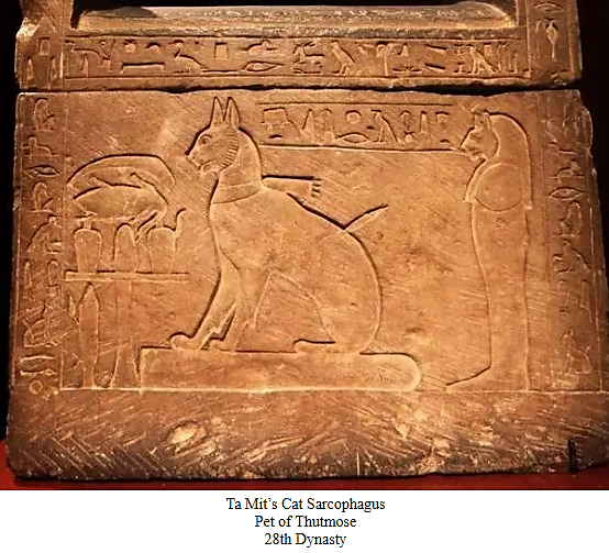 Та-мит-саркофаг-кошки-Тутмоса-28-династия