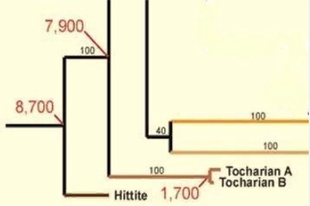 Тохарська мова - лінгвістичне дерево