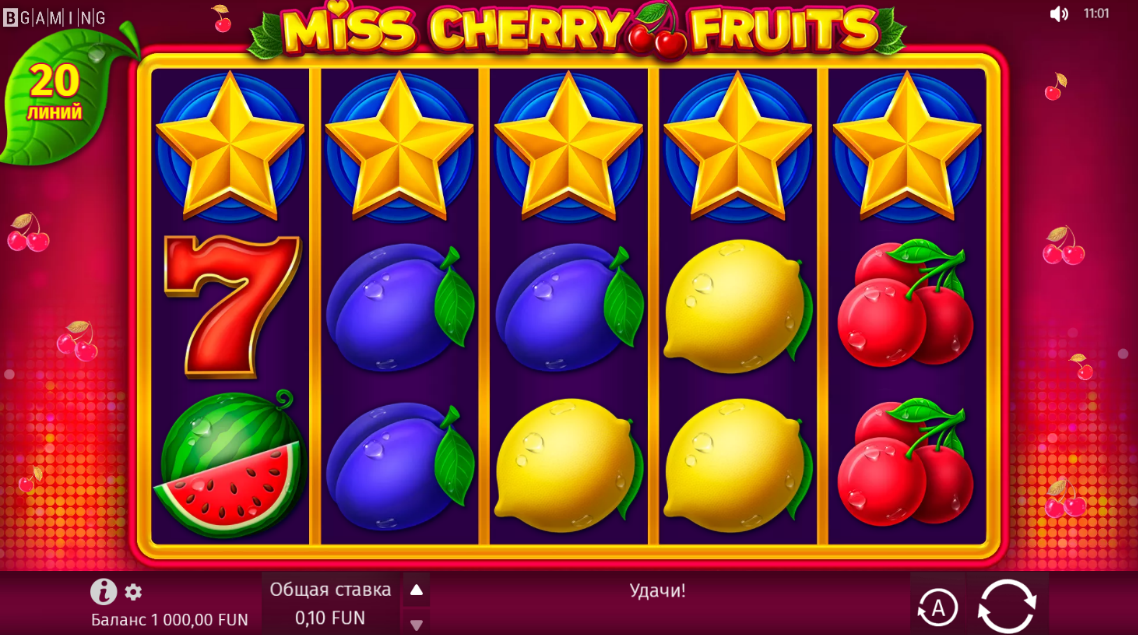 Miss Cherry Fruit