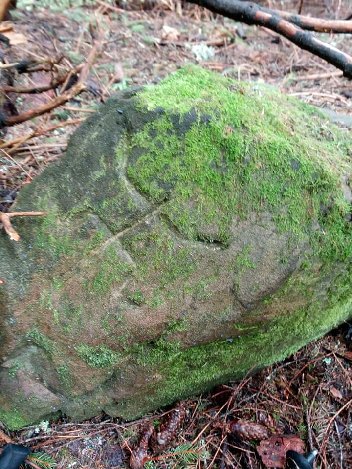 Камінь з петрогліфами в Карпатах