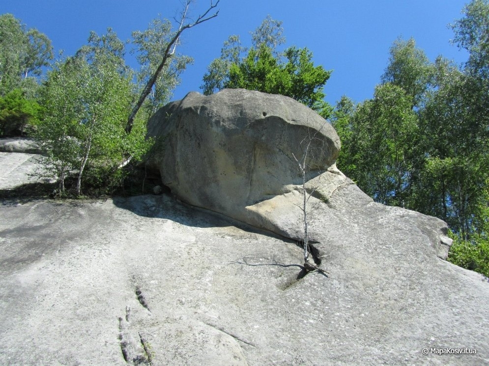 Голова сокола на скалі - петрогліф