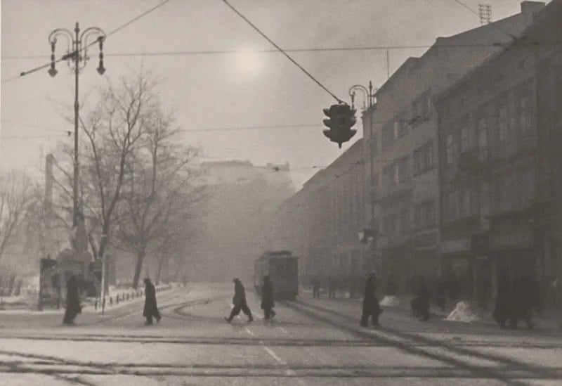 Lviv-194115
