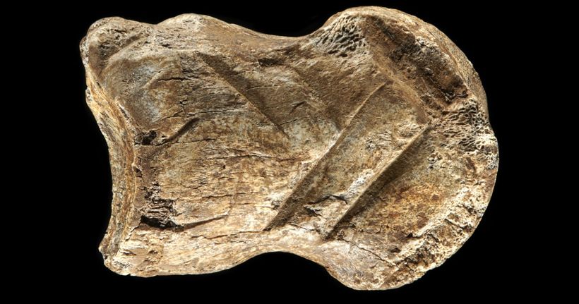 carving-bone-neanderthal