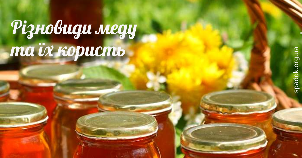 Різновиди меду і користь для здоров'я