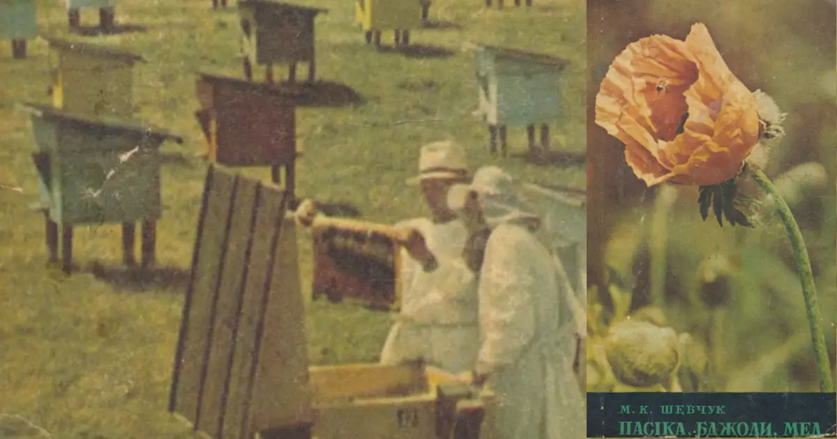Микола Шевчук - Пасіка, бджоли, мед (1974)