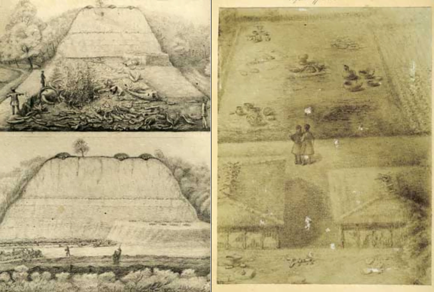 Археологічні розкопки трипільської культури