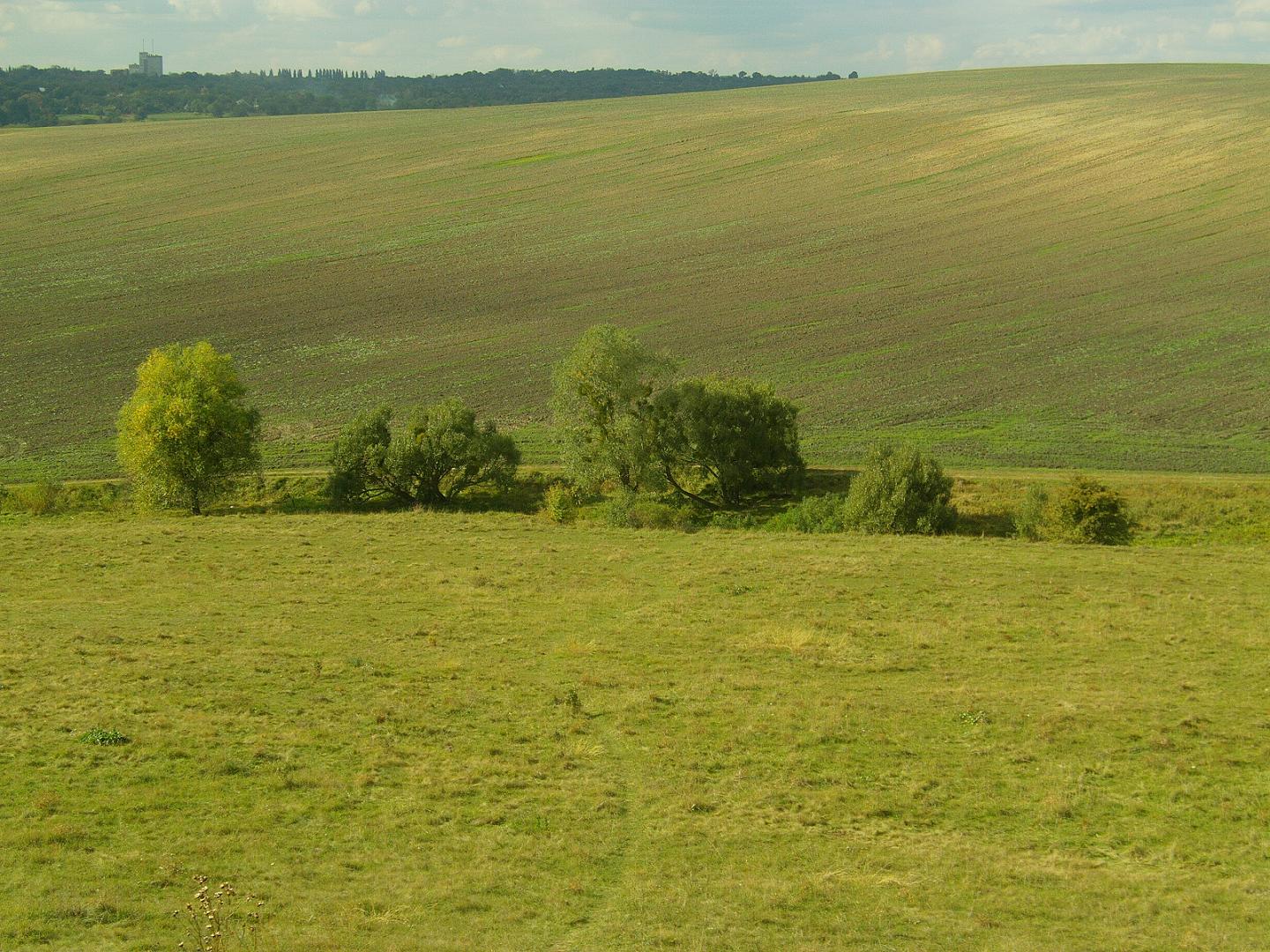 tototxa-panorama