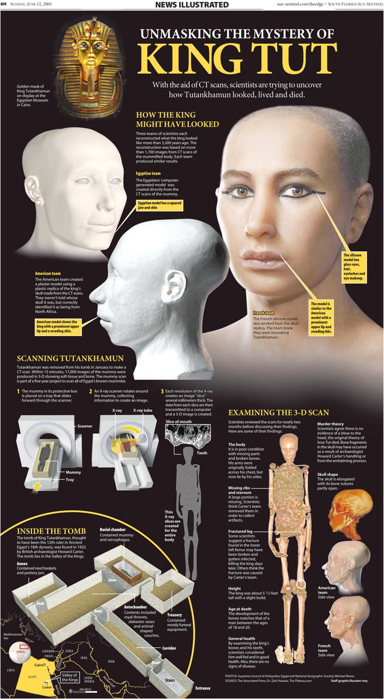 Тутанхамон інфографіка