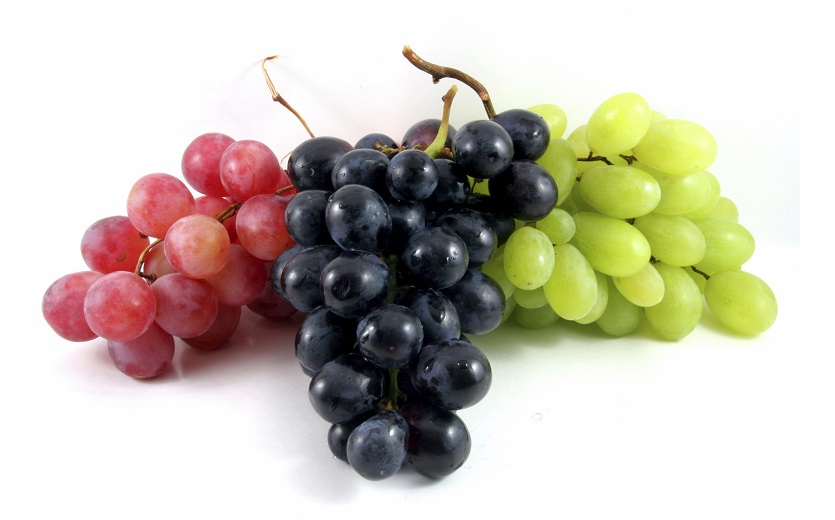 Сорти винограду